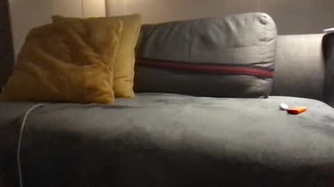 hepilauda online show from 02/23/25, 11:58