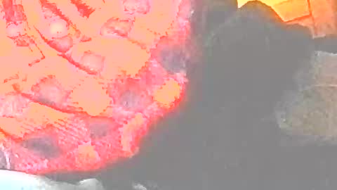 jedishy925585 online show from 12/17/25, 09:04