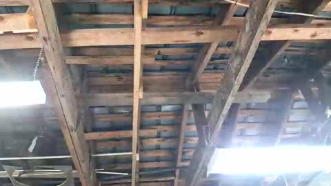 jeepcod87 online show from 04/03/26, 06:39