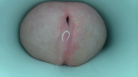 jeffrodgerschaturbat online show from 03/11/26, 03:56