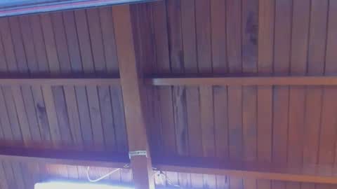 jeicob gagnon online show from 02/21/25, 04:16