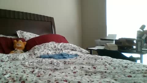 Jennibean6996 online show from 09/30/25, 01:49