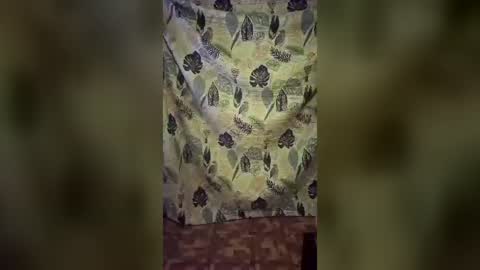 jennytravestisexy online show from 08/03/26, 05:39