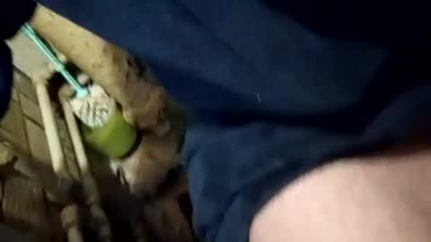 Join me online show from 02/08/25, 01:33