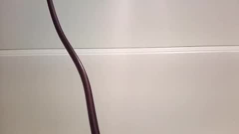 Snapshot of jeremymeyerprofessional chatting on 05/28/26, 11:07 jeremymeyerprofessional online show from 05/28/26, 11:07