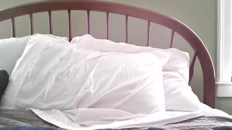 jerkingmanforyou online show from 03/15/26, 01:39