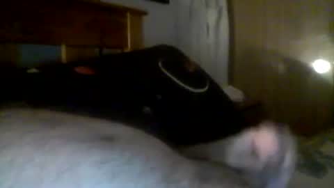 Snapshot of jerkmate6666 chatting on 12/21/24, 06:19 jerkmate6666 online show from 12/21/24, 06:19