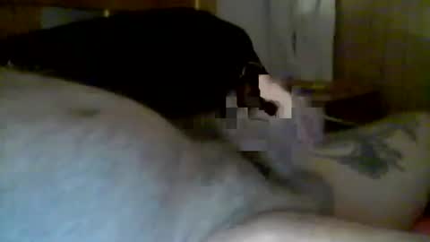 Snapshot of jerkmate6666 chatting on 01/13/25, 10:14 jerkmate6666 online show from 01/13/25, 10:14