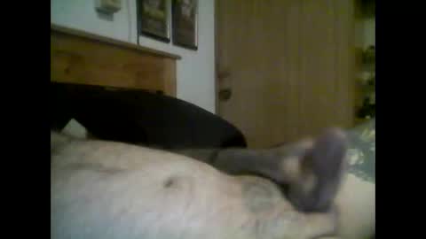 Snapshot of jerkmate6666 chatting on 09/16/25, 11:50 jerkmate6666 online show from 09/16/25, 11:50