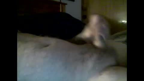 jerkmate6666 online show from 12/04/25, 10:29