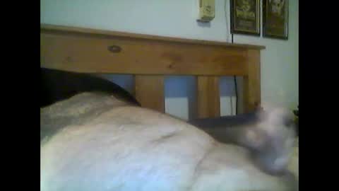 jerkmate6666 online show from 05/15/26, 12:50