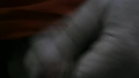 jerom111111111 online show from 01/02/25, 02:24