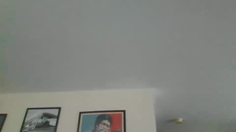 Snapshot of jerseyhammer01 chatting on 12/28/24, 09:31 Harry online show from 12/28/24, 09:31