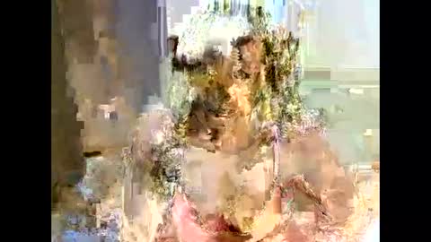 Snapshot of jessajoyy chatting on 02/01/25, 04:11 jessajoyy online show from 02/01/25, 04:11