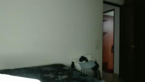 Snapshot of jesus_saab chatting on 01/31/25, 06:13 jesus online show from 01/31/25, 06:13