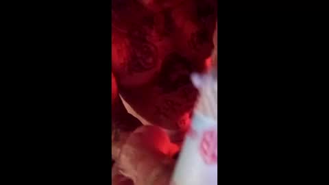 jetjon762844 online show from 04/11/26, 06:51