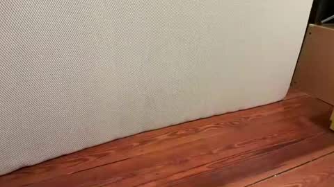 me online show from 01/16/26, 06:39