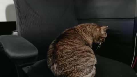 jhnbsomersxh0v1 online show from 03/30/26, 11:11