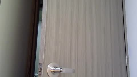   online show from 03/03/26, 11:05