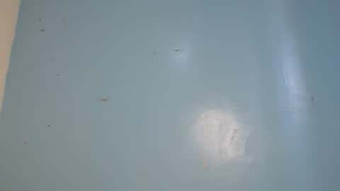 Snapshot of jia_lisah chatting on 02/14/26, 09:17 jia lisa online show from 02/14/26, 09:17