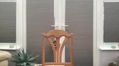 Snapshot of jiggz1986 chatting on 02/10/25, 03:53 Jigz1986 online show from 02/10/25, 03:53