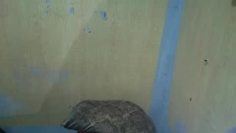 Snapshot of jillian_fuckdoll chatting on 12/22/25, 02:58 jillian_fuckdoll online show from 12/22/25, 02:58