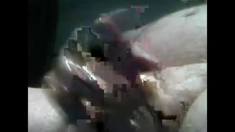 jimboluv488 online show from 12/18/24, 02:10