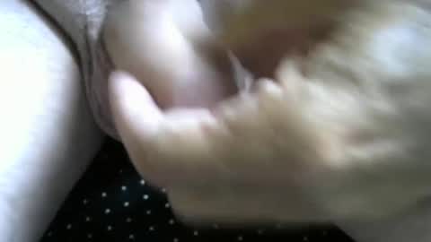 jimismiles online show from 10/07/25, 06:16