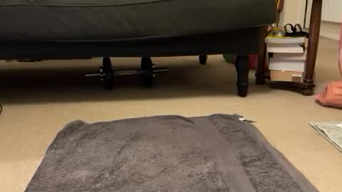 jinker2002 online show from 12/16/24, 05:22