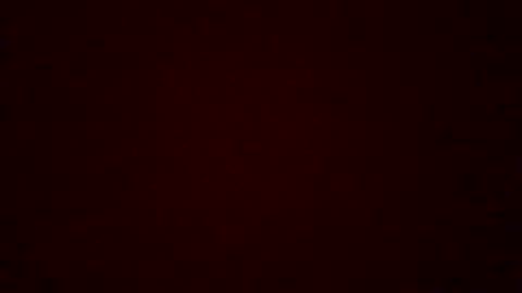 Jorge online show from 04/28/26, 06:24