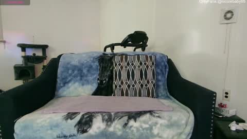 Snapshot of jjjust4fun1985 chatting on 12/22/24, 01:55 Nicole Allen online show from 12/22/24, 01:55