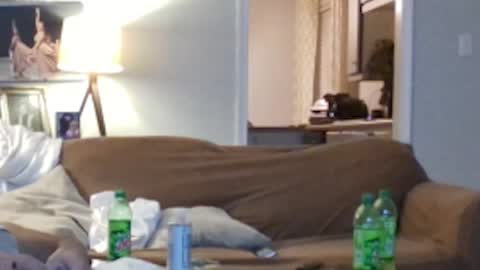 jkelly92081bean online show from 10/05/25, 10:24