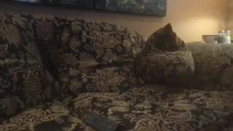 jlk7777 online show from 02/25/25, 05:04