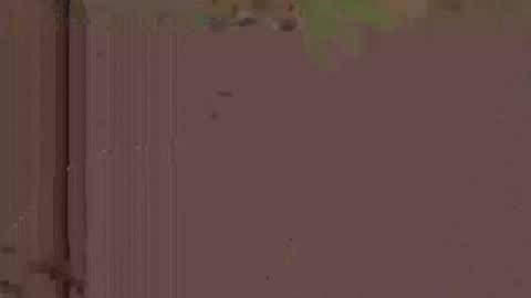 jlk7777 online show from 11/19/25, 05:29