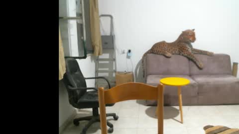 jlmbud online show from 10/11/25, 10:41