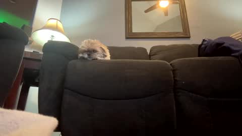 Jimmy online show from 01/21/25, 11:02