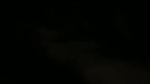 joe_3332 online show from 05/15/26, 07:48