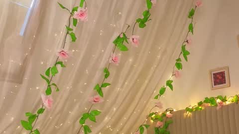 Joe online show from 01/17/26, 04:39