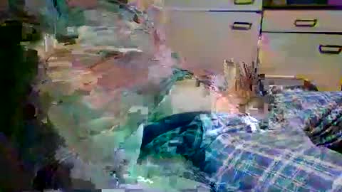 johnyboy34 online show from 01/17/26, 06:40