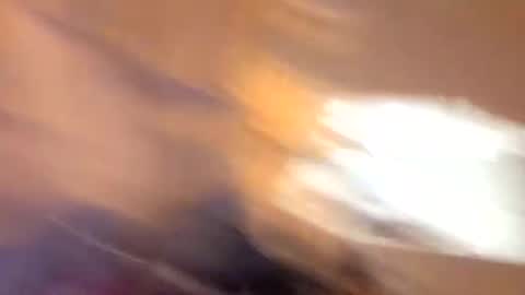 john0131739980 online show from 09/19/25, 06:37