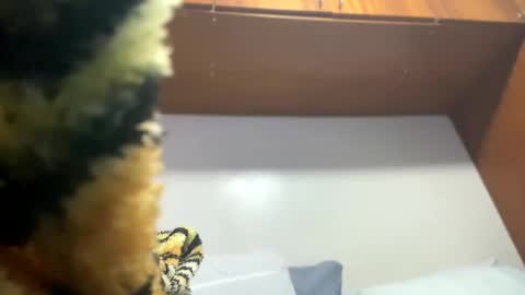 JOHN online show from 02/08/25, 11:55