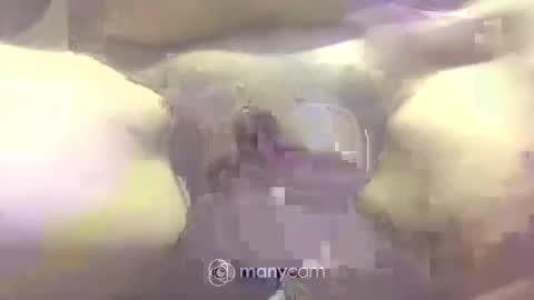 johnnyshung1 online show from 03/02/25, 05:04