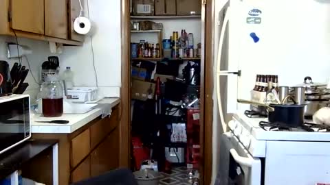 johnnytwain online show from 02/01/26, 07:56