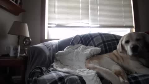 Johston online show from 11/05/25, 01:44