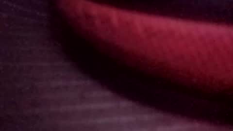 jonathanrossmyers858 online show from 03/13/26, 08:10