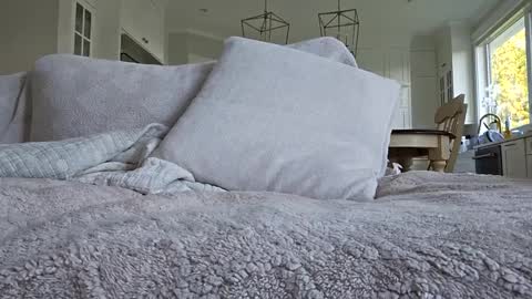 jonesy420xoo online show from 10/08/25, 11:24