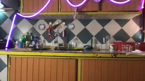 Jony Marta GMT 2000-0100 every day online show from 11/19/25, 06:30