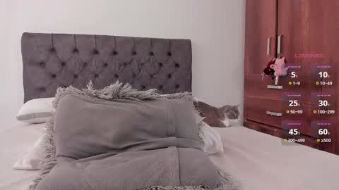 Will online show from 02/28/26, 06:53