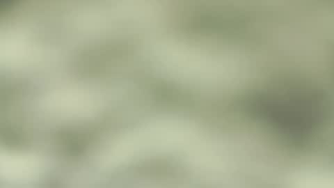 Jorge San online show from 03/09/25, 09:36