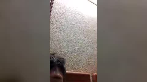 joselin2313 online show from 07/28/26, 03:02